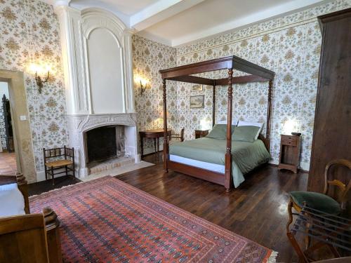 a bedroom with a canopy bed and a fireplace at Gîte élégant au Château d'Euvezin avec jardin et parking privatif - FR-1-584-383 in Euvezin