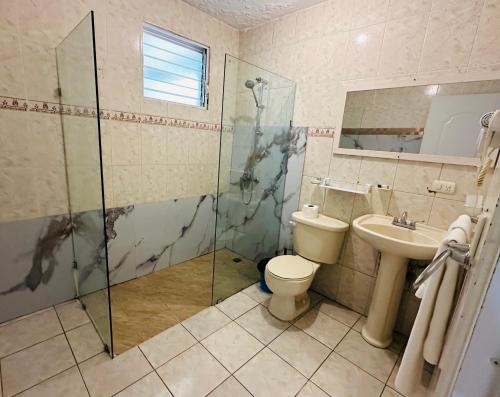 a bathroom with a shower and a toilet and a sink at Aparthotel Michaela in Sosúa