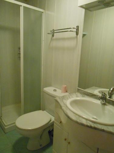 La CresseにあるGite du plôのバスルーム(トイレ、洗面台、シャワー付)