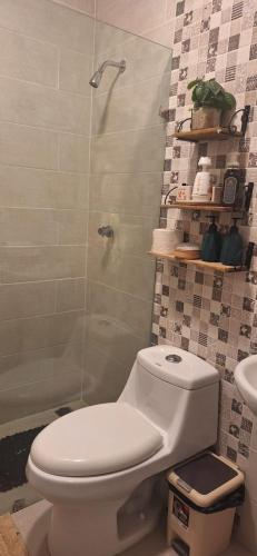a bathroom with a toilet and a shower at Close to the sea and airport in La Golondrina