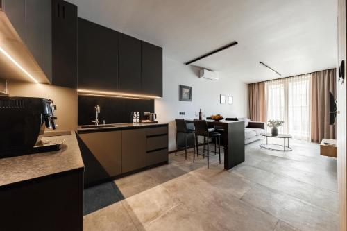 a kitchen with black cabinets and a living room at PLATiNiUM RESiDENCE GARDEN SASKI - "CENTRUM" in Lublin
