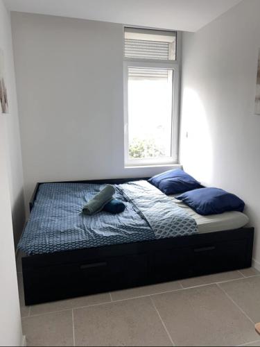 - un lit avec des oreillers bleus dans une chambre avec une fenêtre dans l'établissement Perle de Liévin, à Liévin