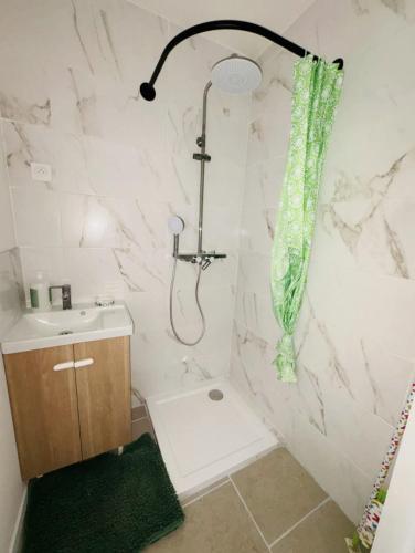 une salle de bain avec douche et lavabo dans l'établissement Perle de Liévin, à Liévin