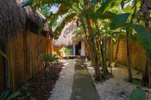 a path in front of a building with trees at Bolontikú in Bacalar