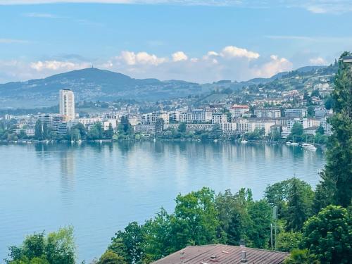 VeytauxにあるMontreux City Center with Lake View and direct lake accessの市街を望む大川