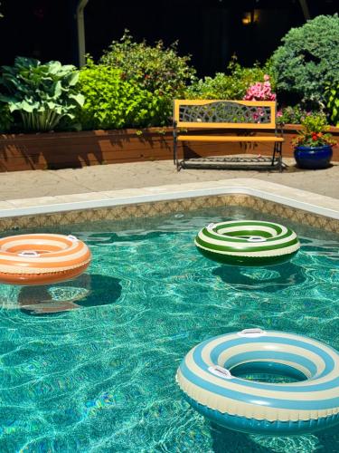 a pool with three frisbees in the water with a bench at Sunshine Lodge Inn in Gibsons