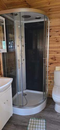 a bathroom with a shower with a sink and a toilet at Domek nad jeziorem Weekend in Swiętajno