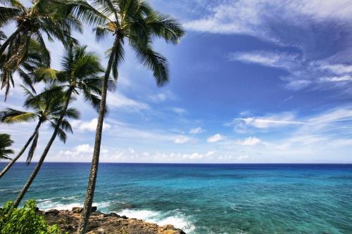 two palm trees on a beach with the ocean at Hale Mahina Hou in Koloa