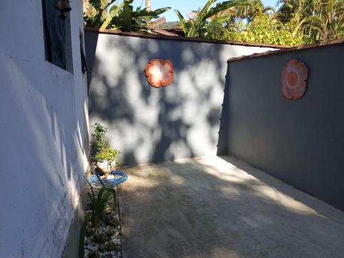 ein Weg mit einer Pflanze in einem Topf neben einer Mauer in der Unterkunft Chalé da Sheila in São Sebastião