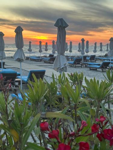 Mane Studio Apartment