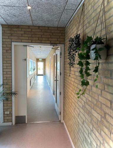 Gallery image of MOVE Eco Health Hotel in Kalundborg