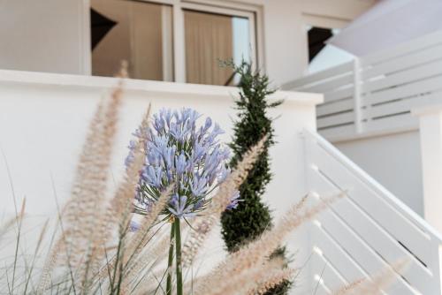 a bunch of purple flowers on a staircase at Geranium B&B in Bitonto