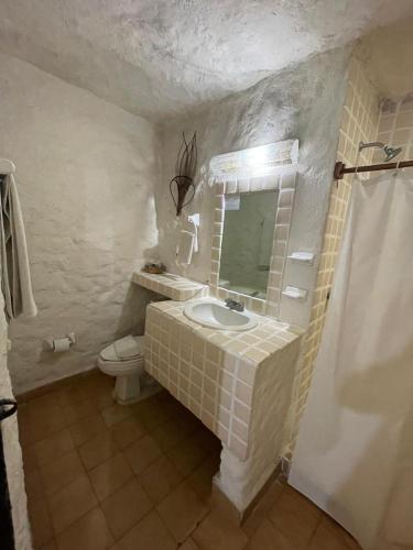 a bathroom with a sink and a mirror and a toilet at Villa Hotel Puerta del Mar in Ixtapa