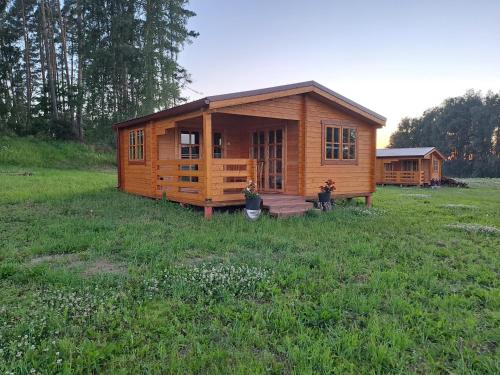 Dārzs pie naktsmītnes Atpūta Priedītēs - pie Tērvetes Dabas parka ar zirgiem, ponijiem un dabas tuvumu