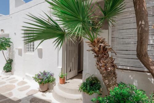 a palm tree in front of a house with plants at House of the sea in Naousa