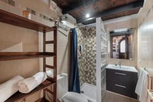 a bathroom with a shower and a toilet and a sink at F tamaide in San Miguel de Abona