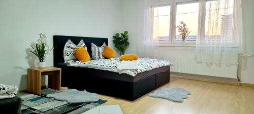 best equiped apartement