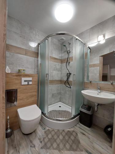 a bathroom with a shower and a toilet and a sink at Rega pokoje in Sarbinowo