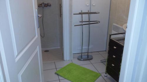 a bathroom with a shower and a green rug at Appartement Village Le Liberty 1 Argelès Sur Mer 2km plage in Argelès-sur-Mer