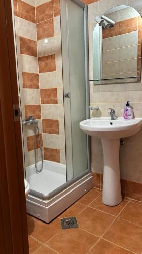 a bathroom with a shower and a sink at Studio Tamara in Ohrid