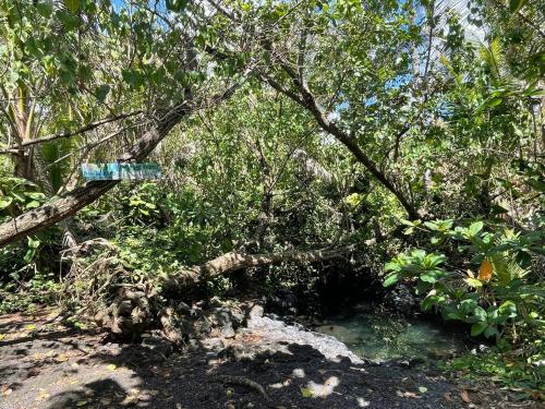 a street sign in the middle of a forest at Kope Hale Coffee Farm Private Studio near Volcano Park in Pahoa