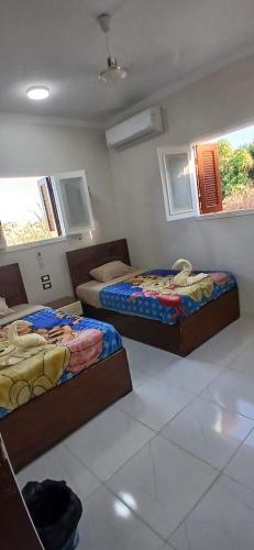 a bedroom with two beds and two windows at Habob Nubian Guest House in Aswan