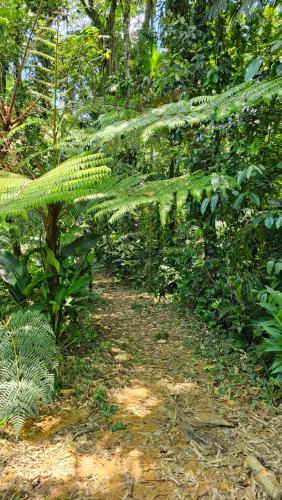 Taman di luar Pousada Monte Crista
