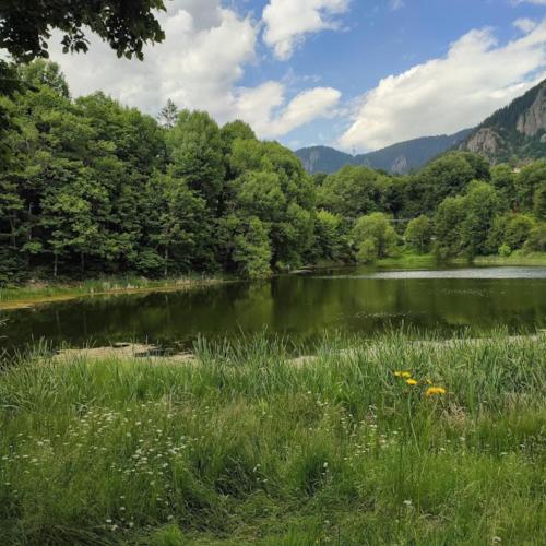 a body of water with trees and a river at Apartament Rodopi in Smolyan