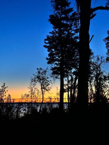 a group of trees with the sunset in the background at Calma Cabins in Puerto Clocker
