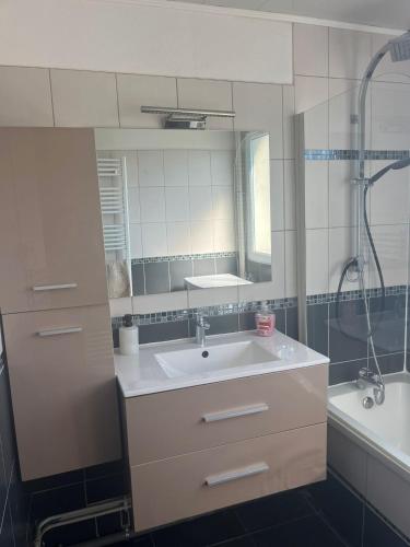 une salle de bain avec un lavabo, une douche et un miroir dans l'établissement T4 3chambres spacieux tout équipé 6 personnes, à Besançon