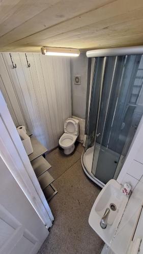 a bathroom with a toilet and a shower and a sink at Apartment SKAISTUMS in Jūrmala