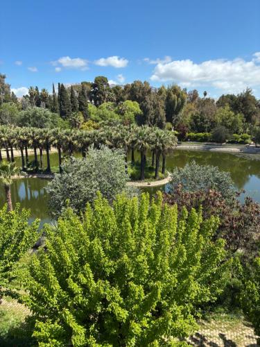 a view of a garden with trees and a lake at Riad Serendipity in Fès
