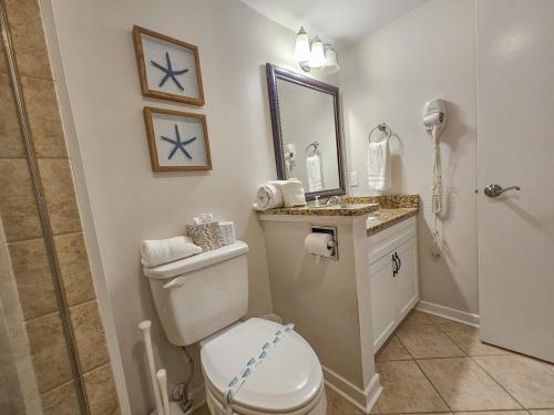 a bathroom with a toilet and a sink and a mirror at Serene 2 bed, 2 bath lodge, with amenities, 101AC lodge in Myrtle Beach