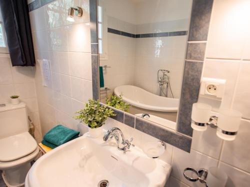 a bathroom with a sink and a toilet and a mirror at Le Rayol in Bagnols-en-Forêt