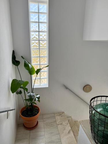 Φωτογραφία από το άλμπουμ του Casa Rey's σε Paialvo