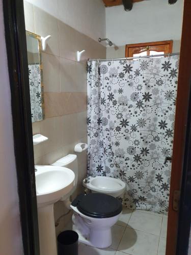 a bathroom with a toilet and a sink and a shower at MARY ORM House 2 in Malargüe