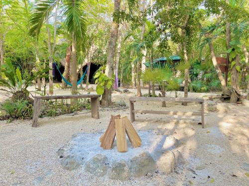 a park with two wooden benches and trees at Pent House - Santuario Apartments in Chemuyil