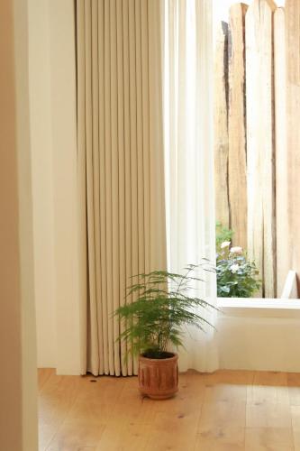 a plant sitting on a floor in front of a window at Stay Hosa in Suwon
