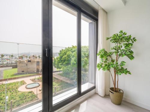 Studio in Las Palmas near Las Canteras Beach
