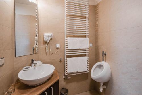 a bathroom with a sink and a urinal at Dwór Kombornia - Folwark in Kombornia