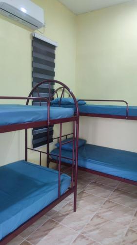 a group of bunk beds in a room at Mahsuri Dorm, Roomstay & Homestay Langkawi in Ulu Melaka