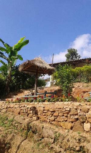 Κήπος έξω από το Tunnel Gap Homestay