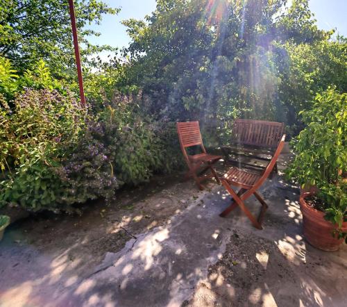 two wooden chairs and a table in a garden at Le Corti - Agriturismo Olio e Vino in Lastra a Signa