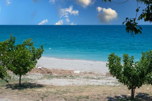 a beach with two trees in front of the ocean at Duchess Eva's Seafront Guesthouse in Chorefto