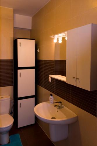 a bathroom with a sink and a toilet and a mirror at AdrianApartments ViVa in Cluj-Napoca