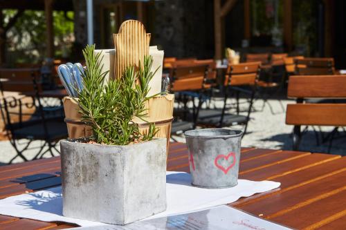 a table with a potted plant and a cup on it at Appartements Liebe Heimat in Saalbach Hinterglemm