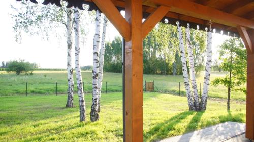 a gazebo with white birch trees in a field at Żubrowe Sioło - dom w naturze - najładniejsze widoki - nowość in Białowieża