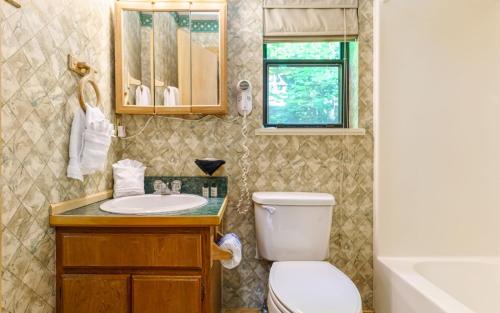 une salle de bain avec toilettes, lavabo et baignoire dans l'établissement Grand View Mountain Chalet, à Gatlinburg