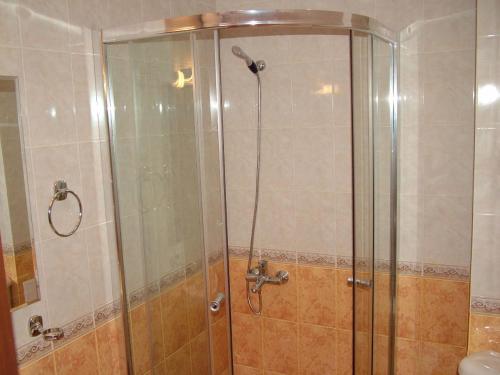 ロゼネッツにあるSamara Apartmentの浴室のガラス扉付きシャワー