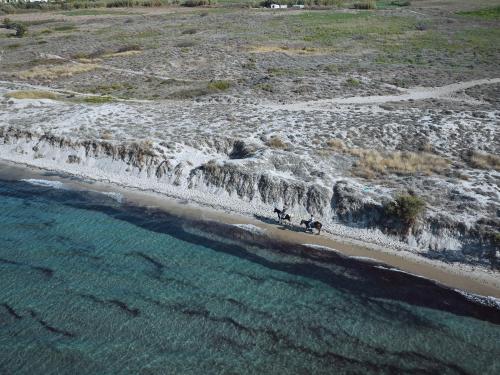 two people riding horses on a beach next to the water at Grecotel Casa Paradiso in Marmari